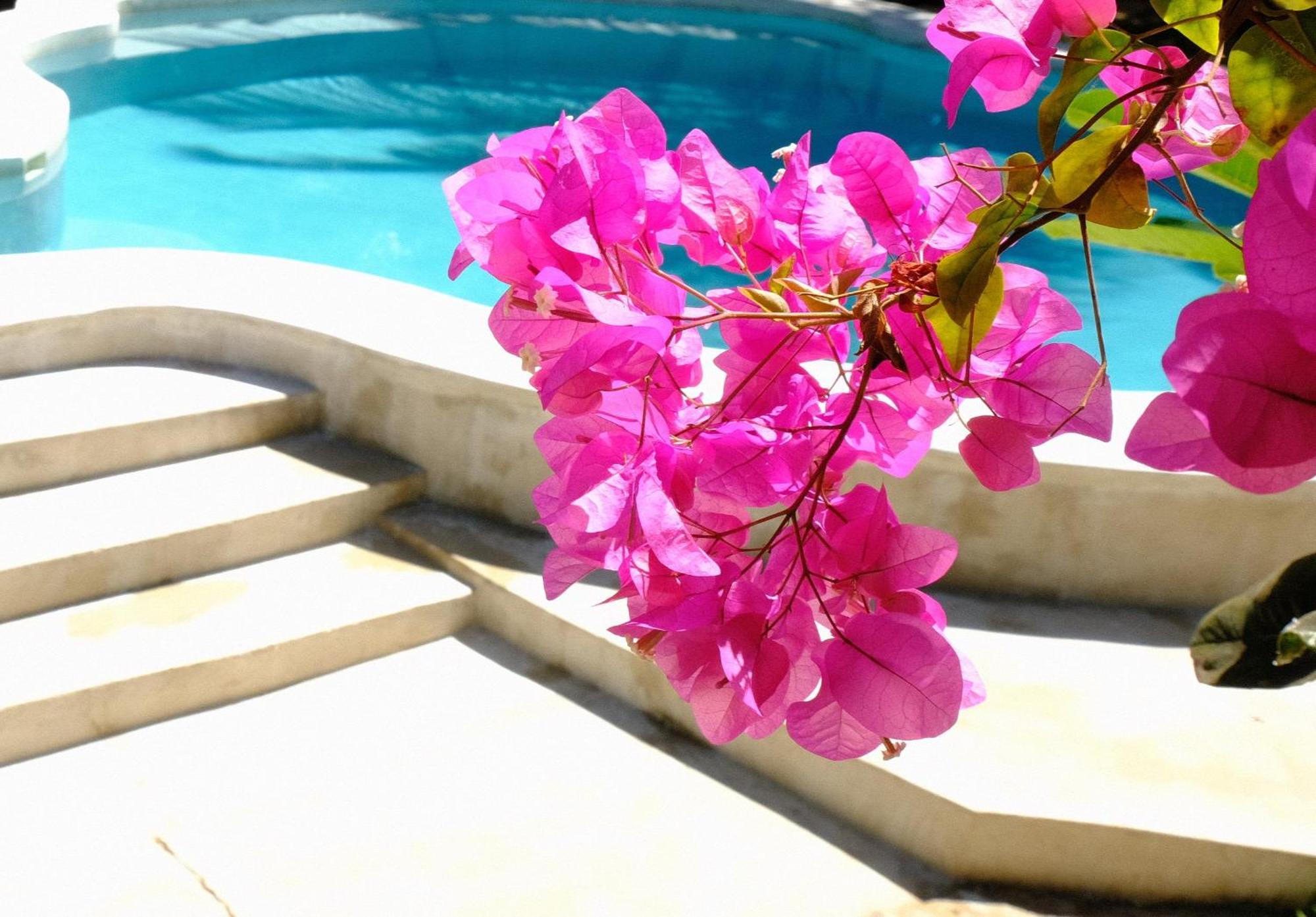 Kobe House Bed & Breakfast Jambiani  Exterior photo